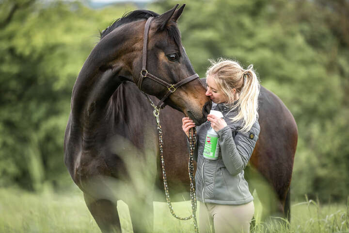 BREMSENBREMSE classic Insektenschutz 750 ml